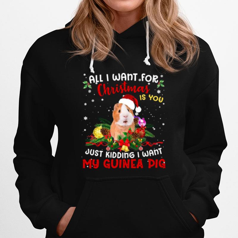 All I Want For Christmas Is You Just Kidding I Want My Guinea Pig Hoodie