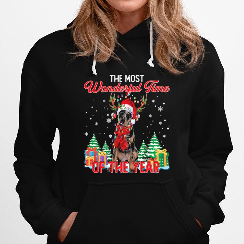 Beauceron Santa The Most Wonderful Time Of The Year Christmas Hoodie