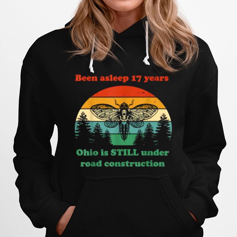 Been Asleep 17 Years Ohio Is Still Under Road Construction Vintage Hoodie