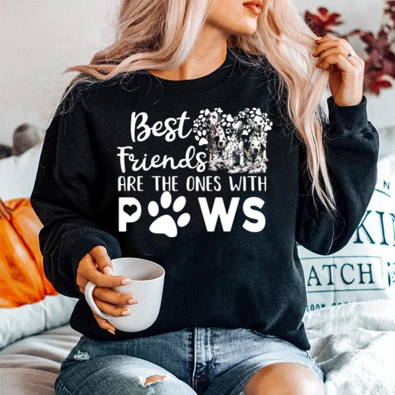 Best Friends Are The Ones With Paws Sweater