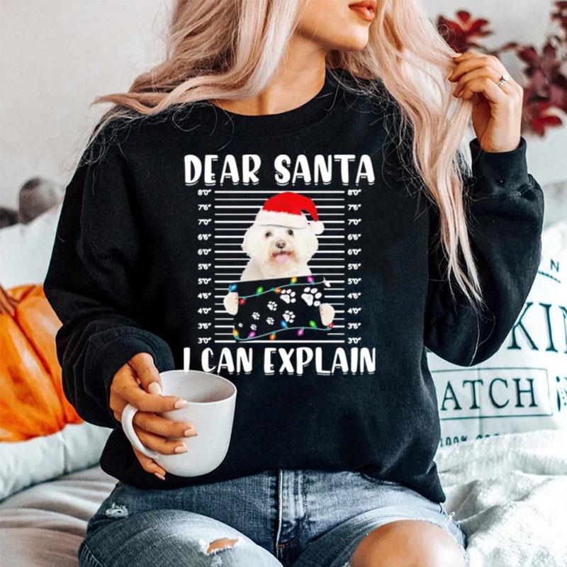 Bichon Dear Santa I Can Explain Christmas Sweater Sweater